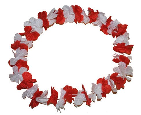 Funny Fashion Hawaii bloemenkrans rood wit