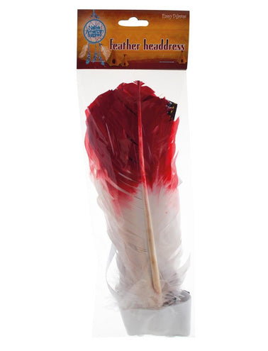 Funny Fashion Indianen hoofdband Wuti met veren
