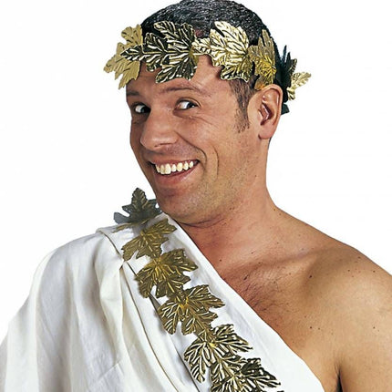 Funny Fashion Lauwerkrans goud budget