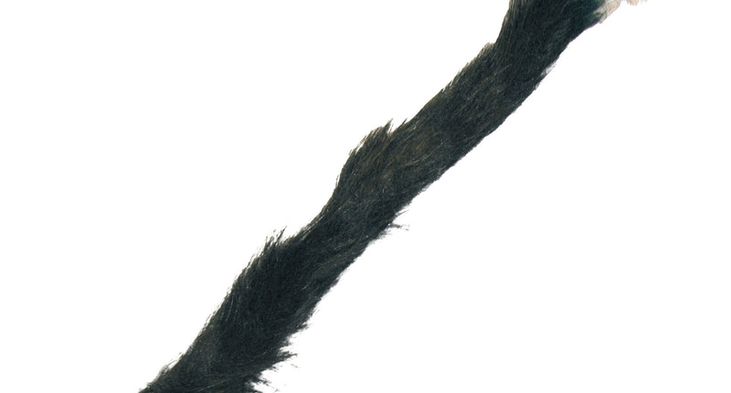 Funny Fashion Nep zwarte kattenstaart met wit puntje