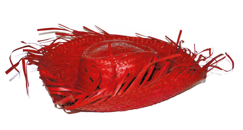 Funny Fashion Rode strohoed Aloha