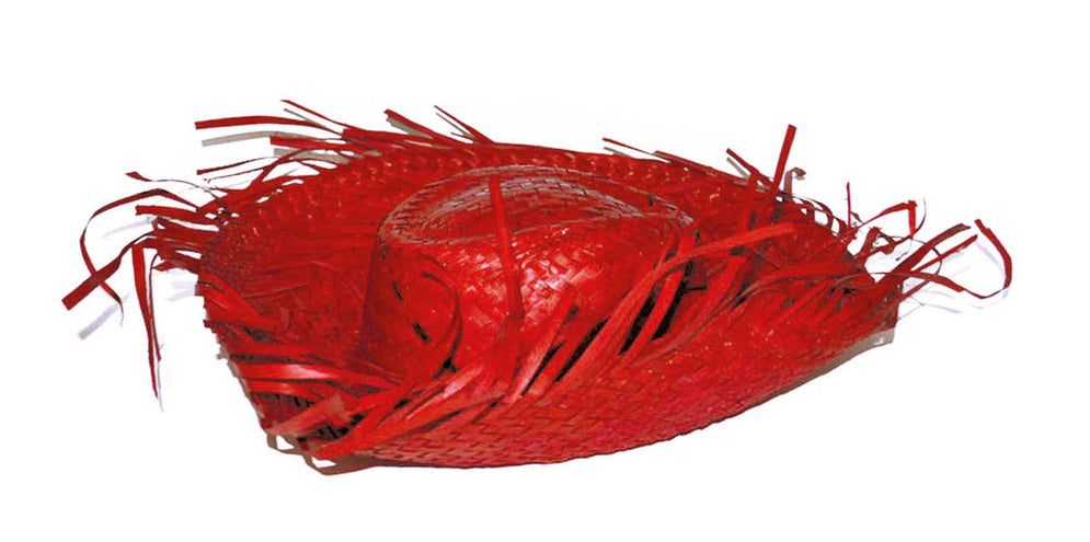 Funny Fashion Rode strohoed Aloha