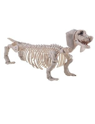 Funny Fashion Skelet teckel hond