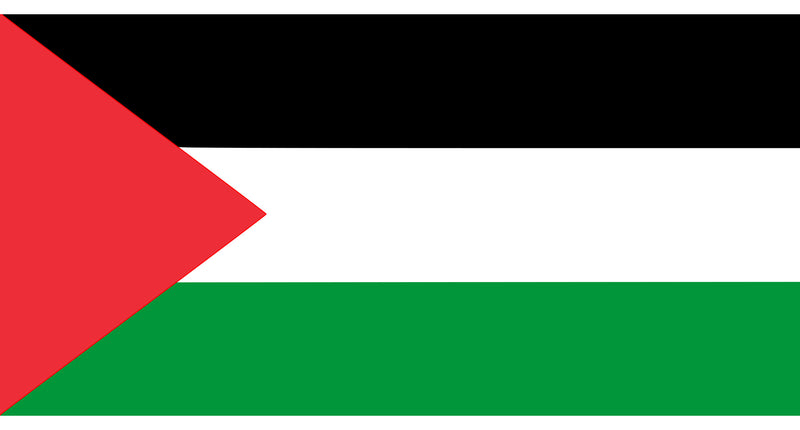 Funny Fashion Vlag Palestina 90x150cm