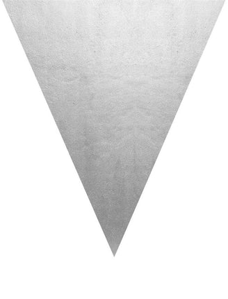 Funny Fashion Zilveren vlaggenlijn slinger 5mtr.