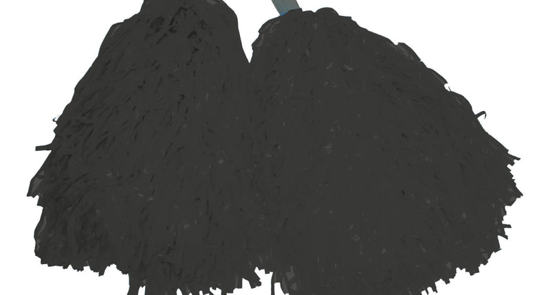 Funny Fashion Zwarte pom poms met stokje