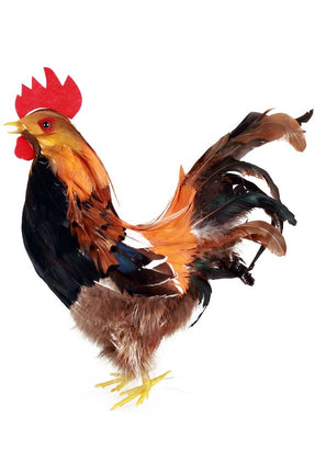 PartyXplosion Haan 32 cm.