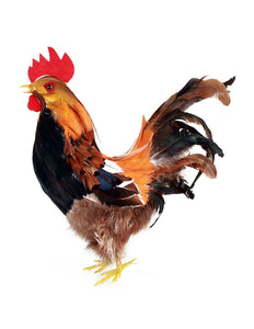 PartyXplosion Haan 32 cm.