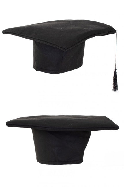 PartyXplosion Hoed geslaagd luxe