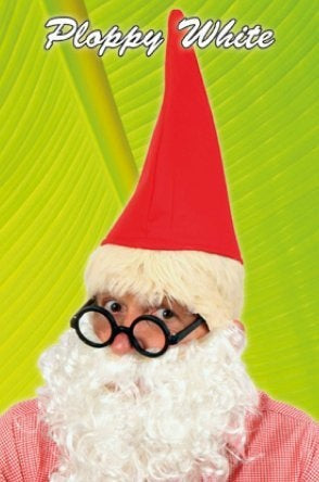 PartyXplosion Kabouterbaard wit met krullen