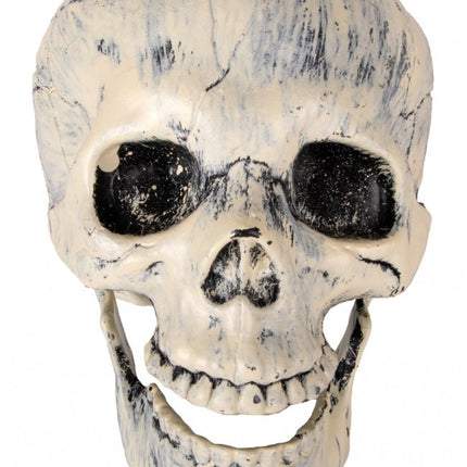 PartyXplosion Nep schedel