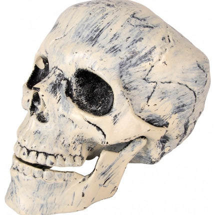 PartyXplosion Nep schedel