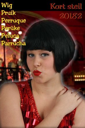 PartyXplosion Pruik kort steil haar zwart