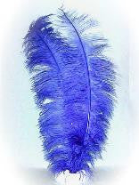 PartyXplosion Spadonis veer blauw ± 50cm per stuk