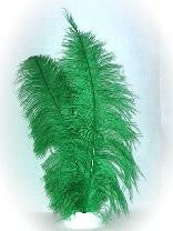PartyXplosion Spadonis veer groen ± 50cm per stuk