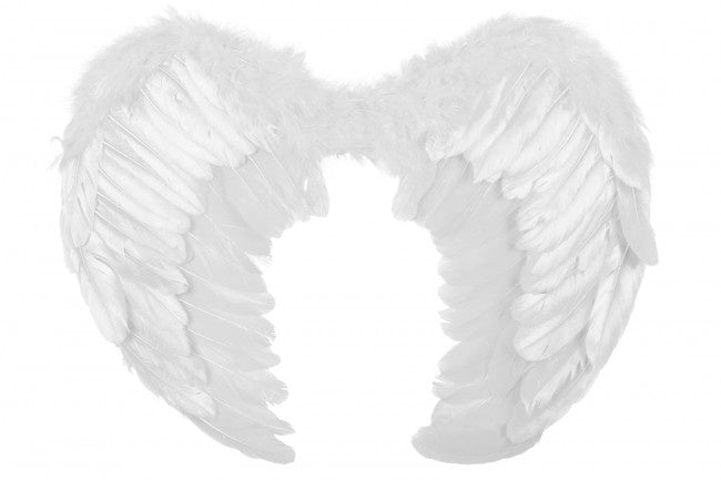 PartyXplosion Veren vleugels wit luxe