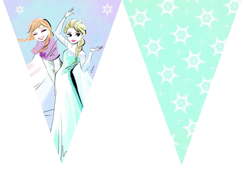 Procos Vlaggenlijn Frozen Sparkle 9 vlaggen