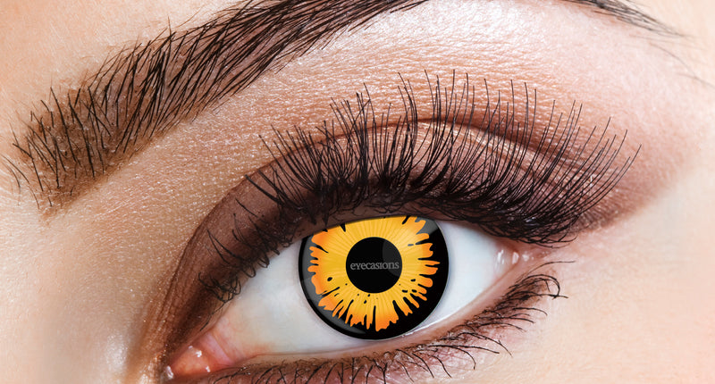 Wicked Costumes Bella een dag lenzen in oranje zwart