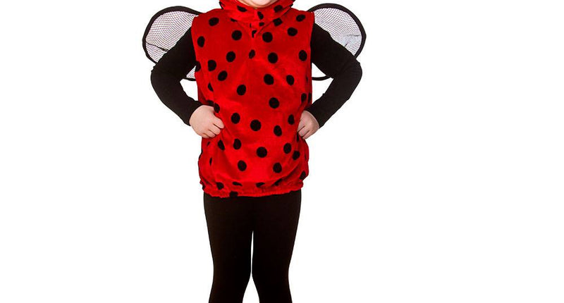 Wicked Costumes Lieveheersbeestje pak Evy