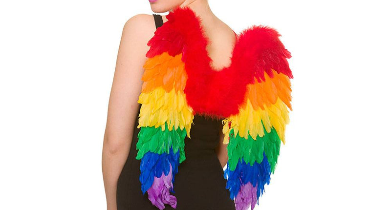 Wicked Costumes Regenboog veren vleugels