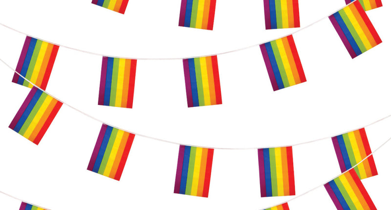 Wicked Costumes Regenboog vlaggenlijn 10m