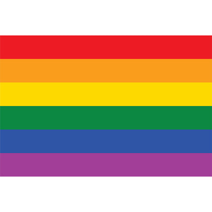 Wicked Costumes Regenboogvlag 150x90cm