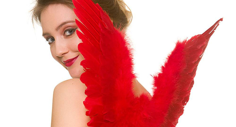 Wicked Costumes Rode veren vleugels