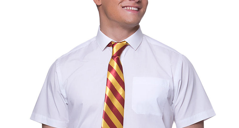 Wicked Costumes School jongen Harry verleed set 2-dlg