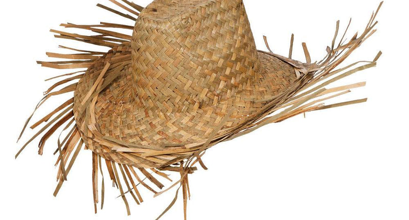 Wicked Costumes Strohoed met rafels beachboy