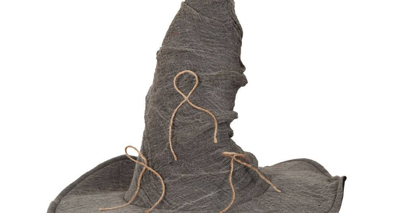 Wicked Costumes Tovenaars hoed luxe