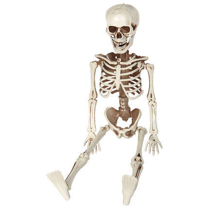 Widmann SRL POSEERBAAR SKELET 40CM